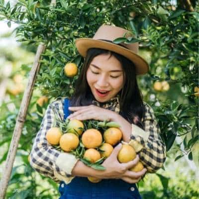 U-Pick Orange Farms Located By State | Find An Orange Farm