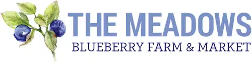 Meadows Blueberry Farm In Florida