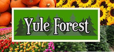 Yule Forest In Stockbridge GA