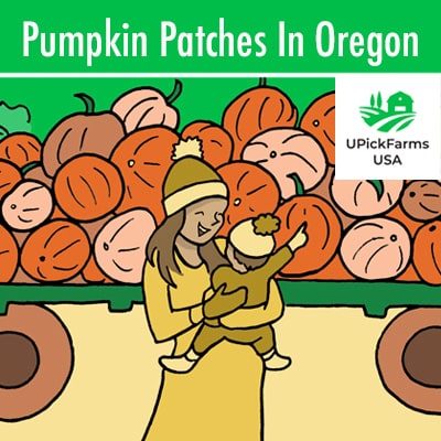 Pumpkin Patches In Oregon