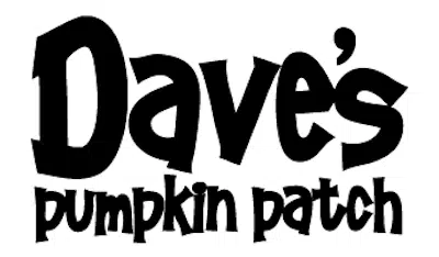 Dave’s Pumpkin Patch In West Sacramento CA
