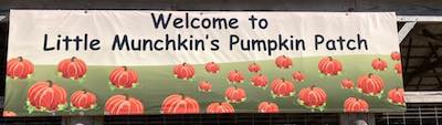 Little Munchkin Pumpkin Patch In Alma KS