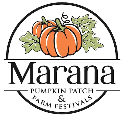 Marana Pumpkin Patch and Farm Festival In Marana AZ