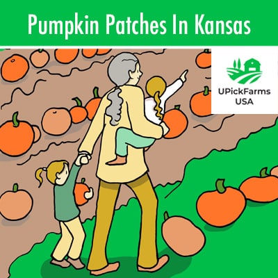 Pumpkin Patches In Kansas