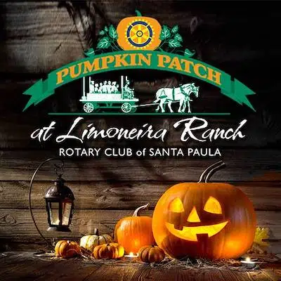 Santa Paula Pumpkin Patch at Limoneira Ranch