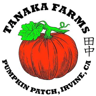 Tanaka Farms Pumpkin Patch In Irvine CA