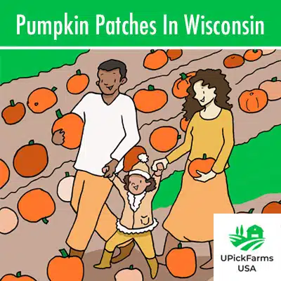 Pumpkin Patches In Wisconsin