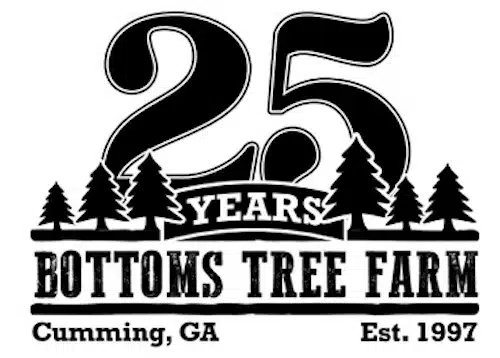 Bottoms Tree Farm In Georgia