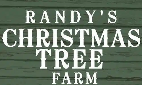 Randys Christmas Tree Farm In Georgia