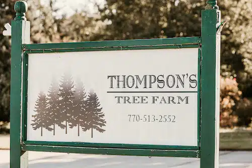 Thompson's Tree Farm In Georgia