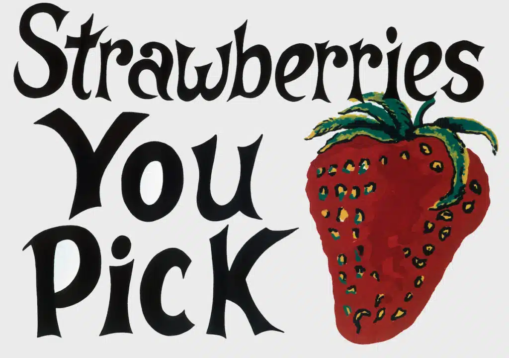 Strawberries You Pick sign from a farm in Georgia