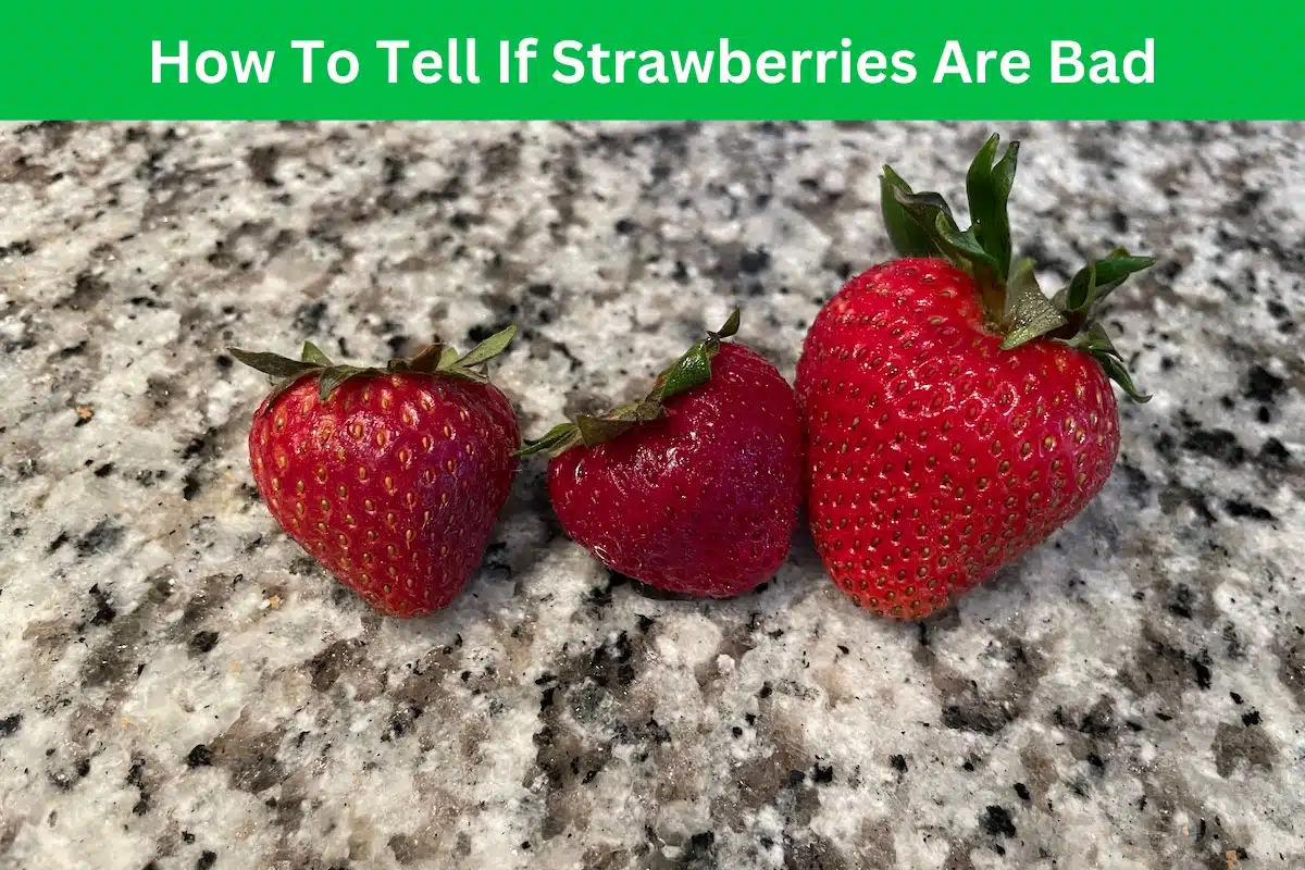Are These Strawberries Going Bad And How To Tell